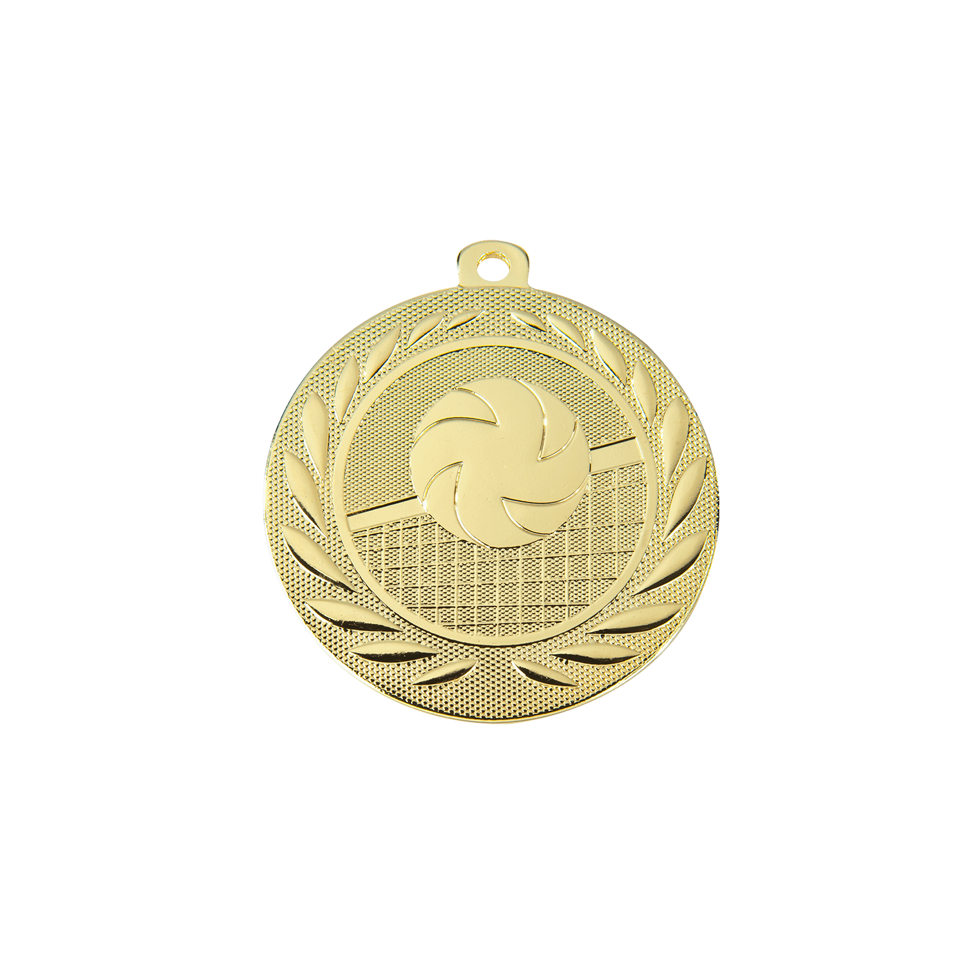 Medaille London volleybal