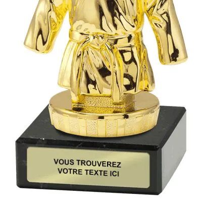 Trophée en Verre Judo à Personnaliser