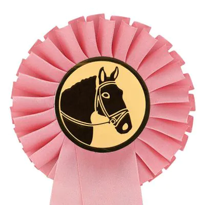 kroeg Kamer versterking Rozet paardensport roze bestellen? Altijd de beste prijs | Budgettrophy
