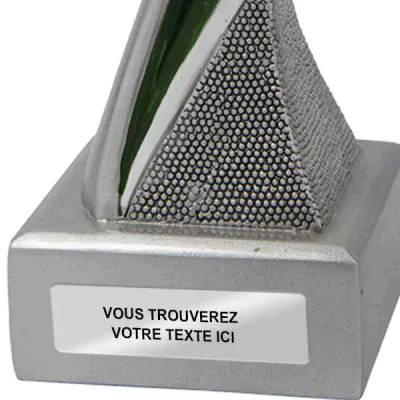 Trophée Foot gardien PN053 - déstockage trophée 