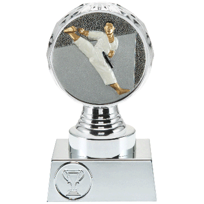 Trofee Vesta karate