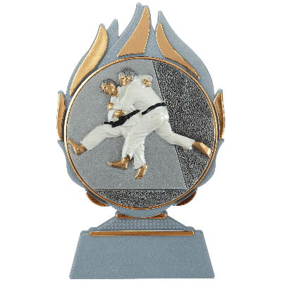 Vlammen trofee judo