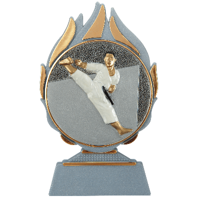 Vlammen trofee karate