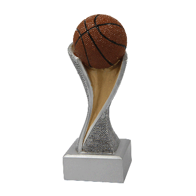 Groove trofee basketbal