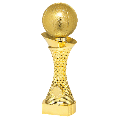 Trofee Nico basketbal