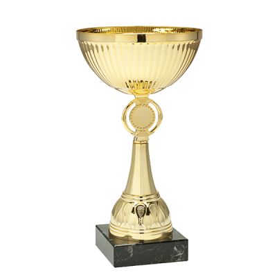 Traditionele gouden trofee 