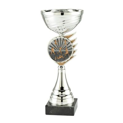 Trofee Kari atletiek