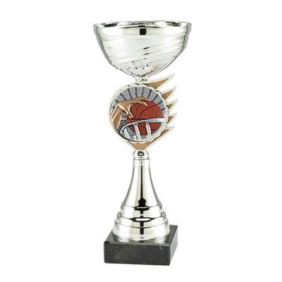 Trofee Kari basketbal