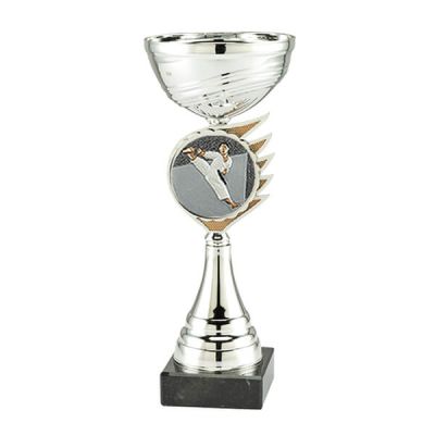 Trofee Kari karate