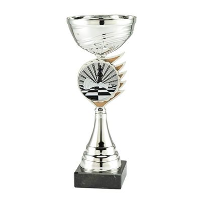 Trofee Kari schaken