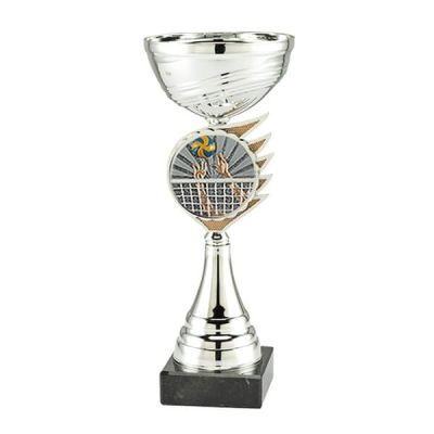 Trofee Kari volleybal