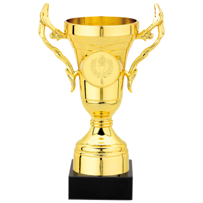 Kleine budget trofee in goud 15,5 cm