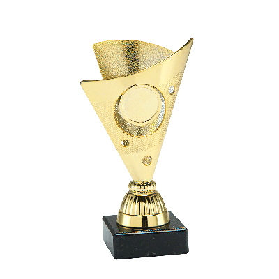 Ontwerp je eigen waaier trofee met embleem - 15,5 cm