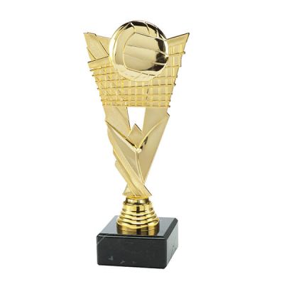 Trofee Vick volleybal